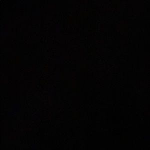 Meet your Posher, Dynae